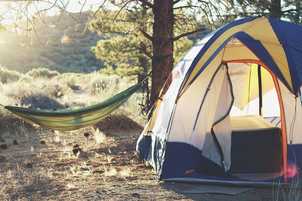 Comment organiser un camping pour une expédition de randonnée en forêt de conifères?