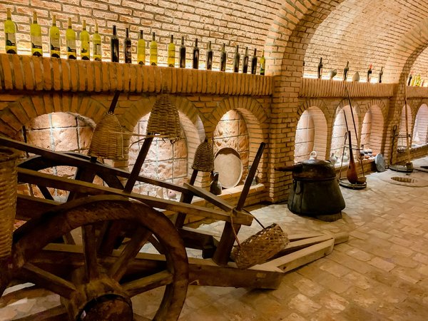 Plongée dans l'univers du vin au musée du vin brotte